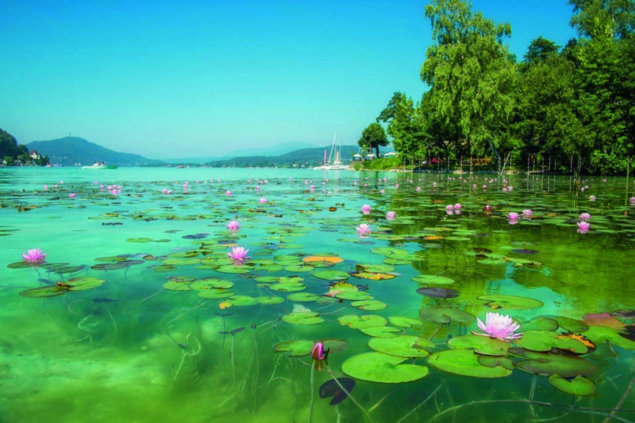 Studios Klagenfurt Klagenfurt am Woerthersee Kültér fotó